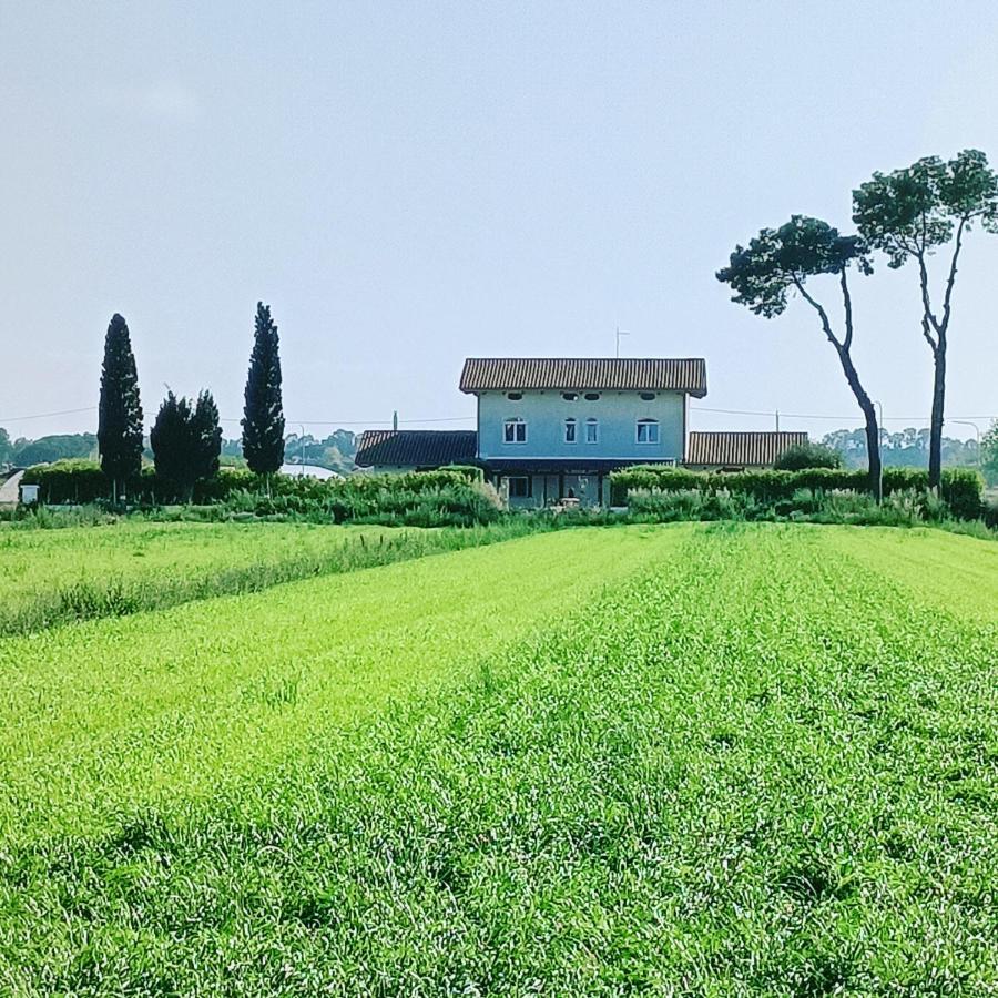 パエストゥム La Ricarda Dimora Di Campagna Bed & Breakfast エクステリア 写真