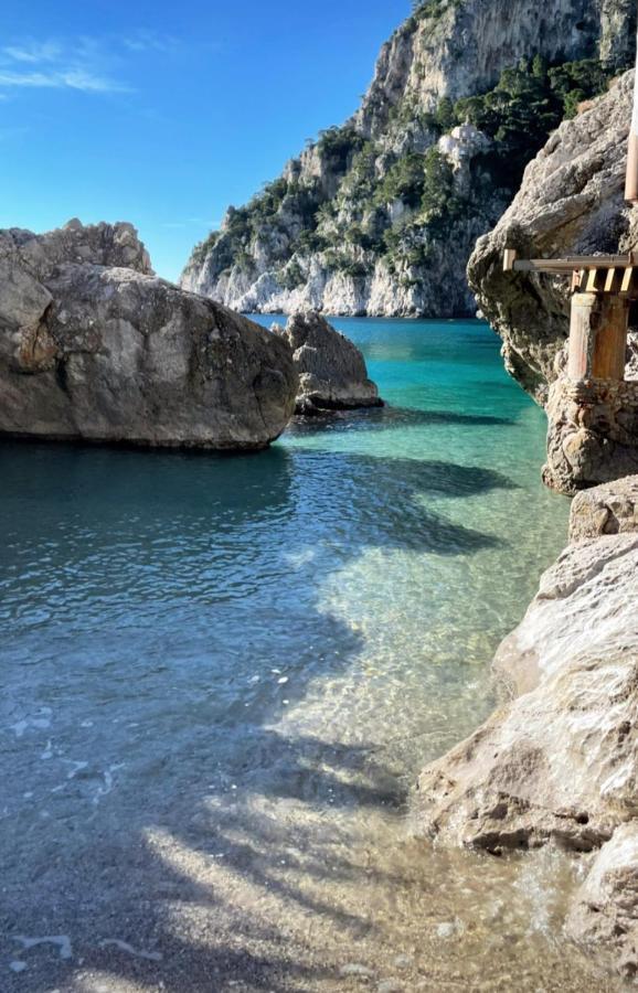 パエストゥム La Ricarda Dimora Di Campagna Bed & Breakfast エクステリア 写真
